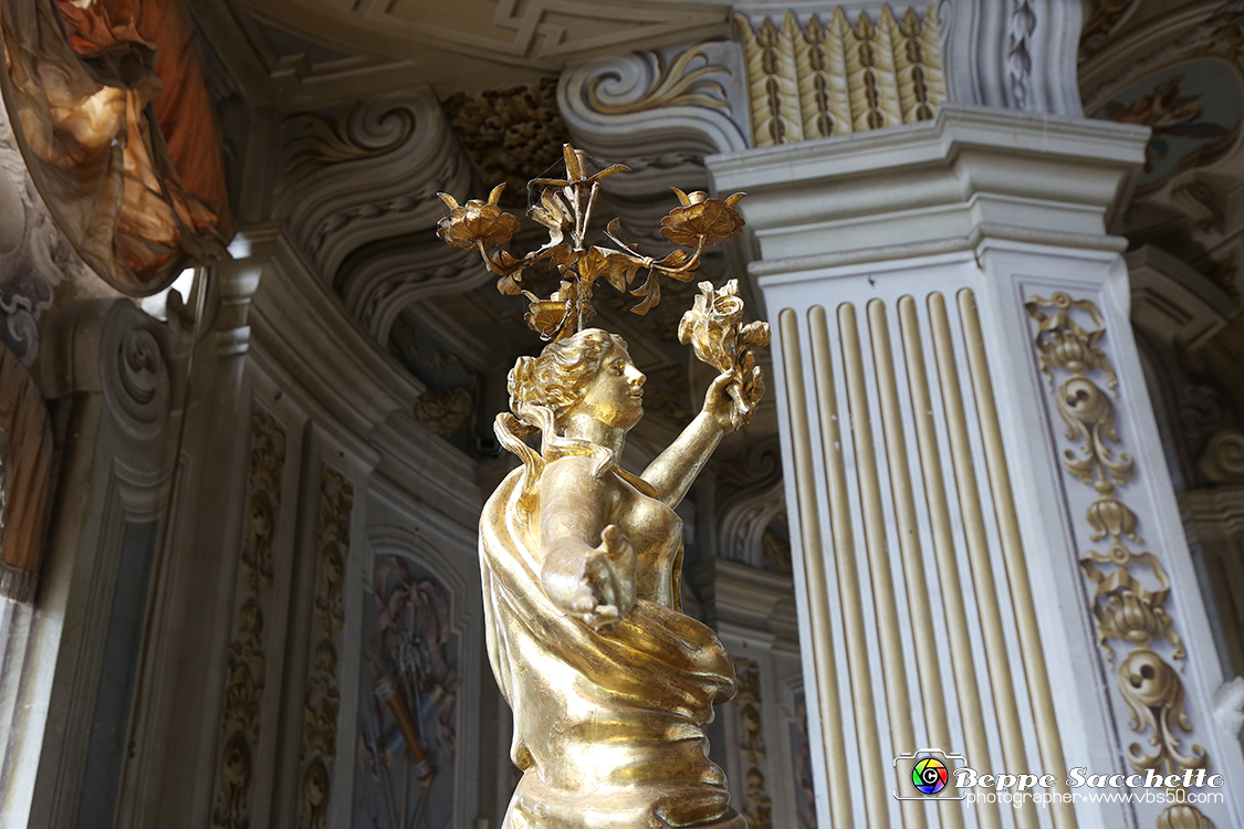 VBS_6091 - Sotto il Cervo - Palazzina di Caccia di Stupinigi.jpg